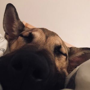 Meet your Posher, Leila